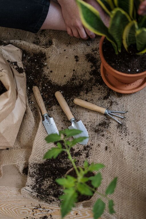 Tips for Creating a Sustainable Home Garden Throughout the Year